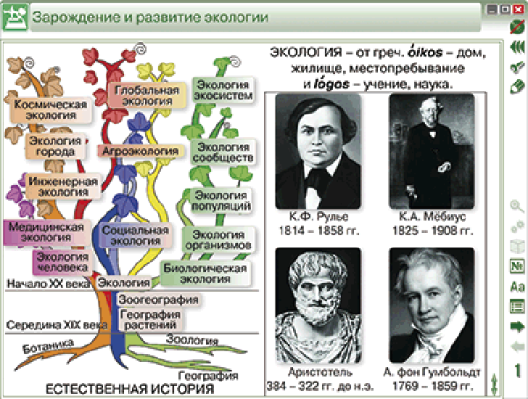 Пособие для интерактивной доски Введение в экологию