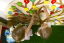 http://185.32.58.216/d/383128/d/rmd-0842.jpg
