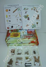http://novacia72.ru/d/383128/d/bio-216_1.jpg
