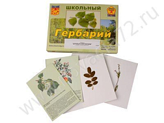 http://novacia72.ru/d/383128/d/Nach-161.jpg