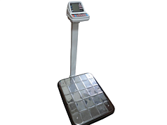 Весы электронные унифицированного конструктивного ряда ВЭУ