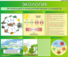 Стенд "Экология. Организация и функционирование сообществ", 1200х1000 мм