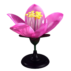 Модель Цветок яблони