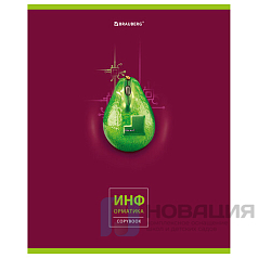 Тетрадь предметная "AVOCADO" 48 л., глянцевый лак, ИНФОРМАТИКА, клетка, BRAUBERG, 404279