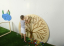 http://185.32.58.216/d/383128/d/rmd-0841.jpg