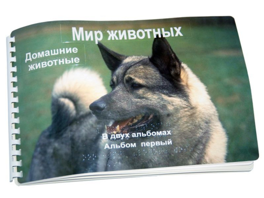 Пособие для незрячих Домашние животные