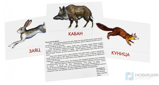 Набор дидактических карточек "Животные наших лесов"