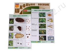 http://novacia72.ru/d/383128/d/bio-047.jpg