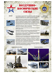 Воздушно-космические силы Российской Федерации