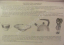 http://185.32.58.216/d/383128/d/lab-0364.jpg