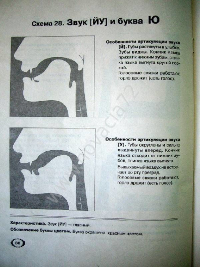 http://185.32.58.216/d/383128/d/lab-0187.jpg