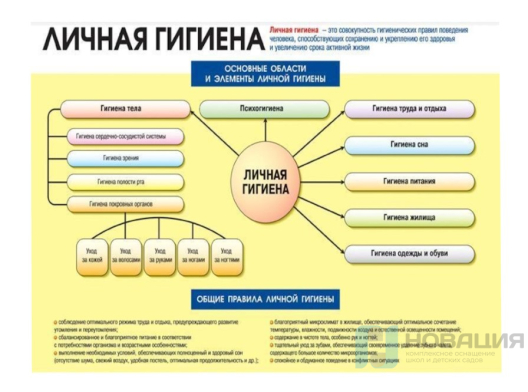 Плакат Личная гигиена